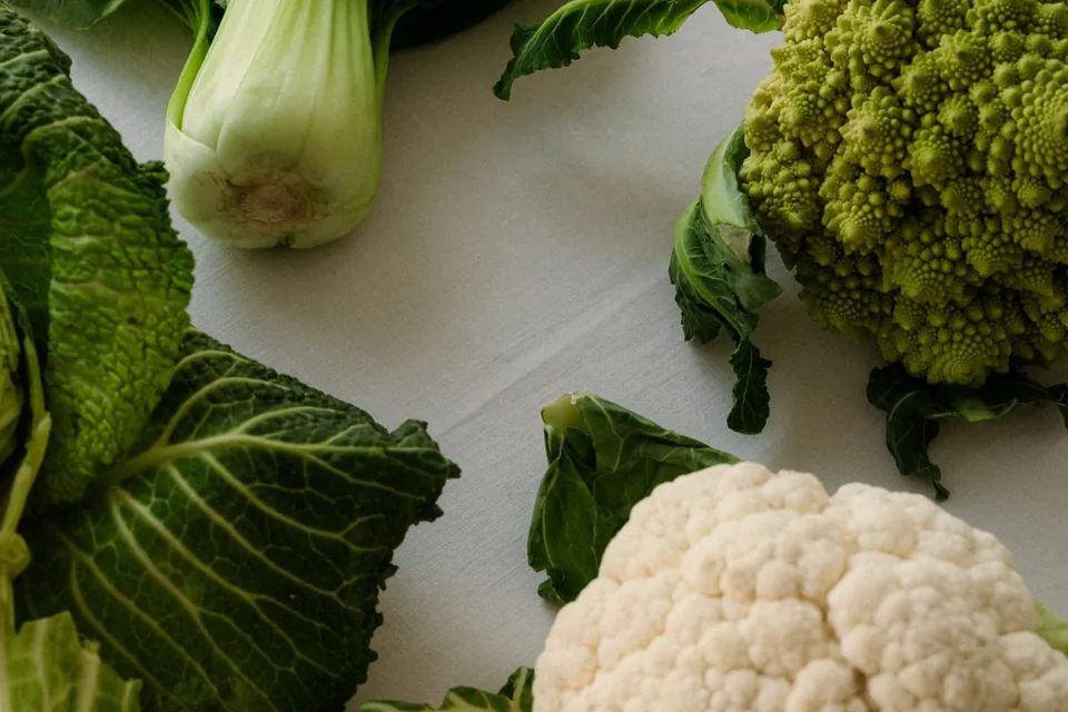 Bok choy, cabbage, cauliflower and romanesco arranged on a pale surface.